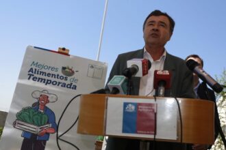 Ministro de Agricultura informa variación de precios en alimentos: Baja en papas y desafíos con cerezas
