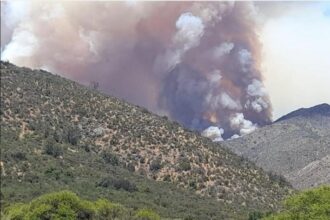 Alerta amarilla en Quilpué tras más de 1.100 hectáreas afectadas con incendios
