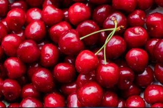 Fuertes lluvias golpean la cosecha de cerezas en Chile: Pérdidas del 50% preocupan a productores