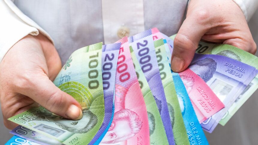 ¿Cómo se utiliza el Bolsillo Familiar Electrónico?