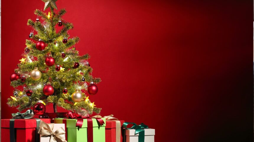 Aguinaldo de Navidad en el Sector Público 2023: Requisitos, consultas y montos