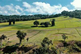 ¿Cuánto cuesta un terreno en la Región de Los Lagos?