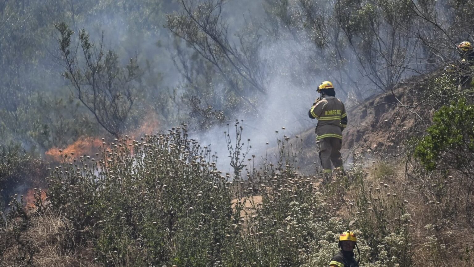 Alerta Roja en Chaitén: Incendio forestal en el Parque Nacional Pumalín Douglas Tompkins Alerta Roja en Chaitén: Incendio forestal en el Parque Nacional Pumalín Douglas Tompkins