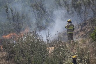 Alerta Roja en Chaitén: Incendio forestal en el Parque Nacional Pumalín Douglas Tompkins