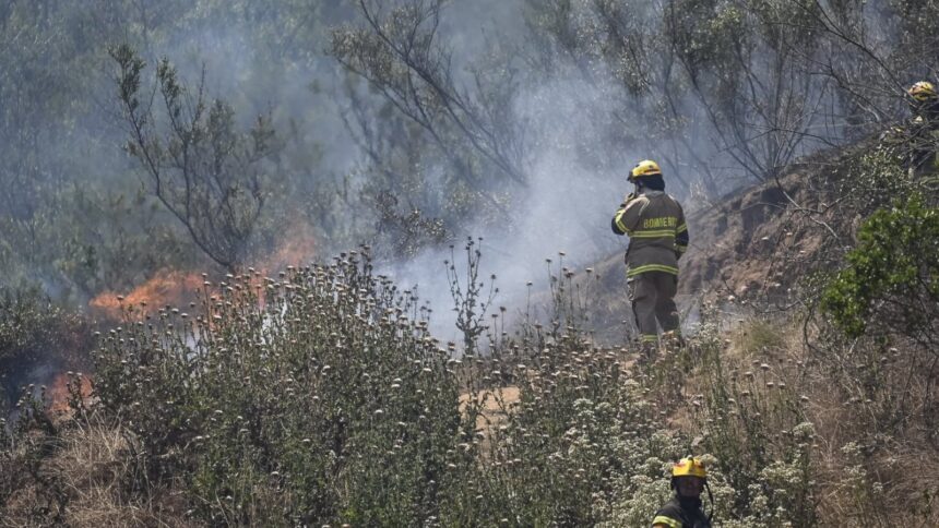 Alerta Roja en Chaitén: Incendio forestal en el Parque Nacional Pumalín Douglas Tompkins