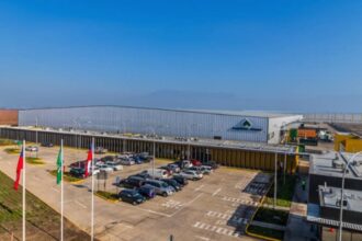 Canadienses acusan estafa y quiebra dolosa de papelera chilena Dimar