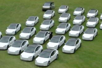 Ingeniero constructor de Temuco gana Tesla Model 3 en sorteo de MrBeast