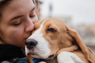 El mercado de servicios para mascotas y la falta de regulación