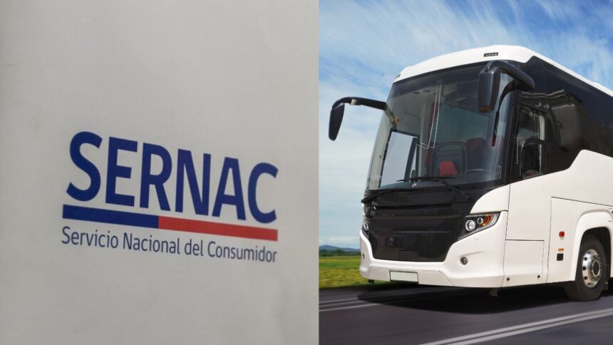 Investigación del Sernac sobre traslado de pasajeros en maletero de buses