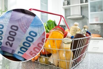 Reactivación del Bolsillo Familiar Electrónico: Segundo Pago para Familias Vulnerables