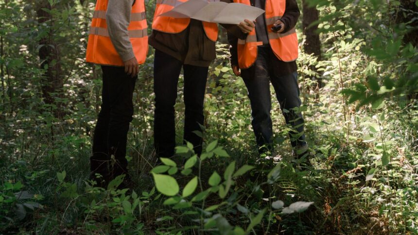Encuentran a joven desaparecida en La Araucanía tras intensa investigación