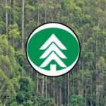 Arauco busca trabajadores para sucursales en zona centro-sur y sur del país