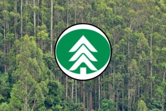 Arauco busca trabajadores para sucursales en zona centro-sur y sur del país