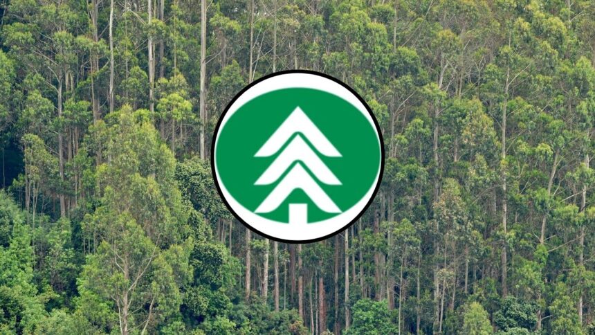 Arauco busca trabajadores para sucursales en zona centro-sur y sur del país