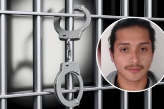 La ayuda a Antihuen conlleva consecuencias legales graves de más de 10 años de prisión