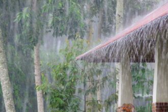 Fuertes lluvias y vientos se esperan para agosto en Chile