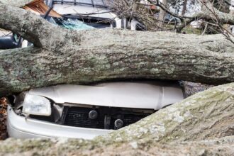 Temporal de viento y lluvias causa estragos en el sur de Chile