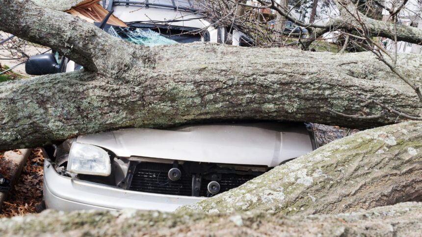 Temporal de viento y lluvias causa estragos en el sur de Chile