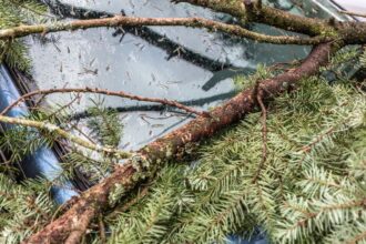 Tragedia en Estación Central: víctima fatal por viento intenso en la Región Metropolitana