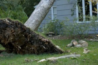 Adultos mayores quedan atrapados en su casa tras caída de techo
