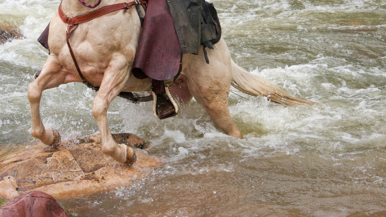Estudiante cruza a caballo río desbordado para llegar a la universidad Estudiante cruza a caballo río desbordado para llegar a la universidad