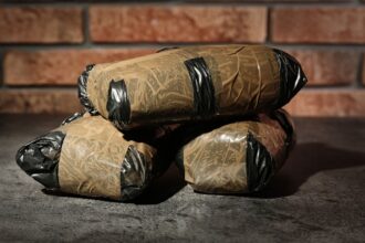 Operativo antidrogas en Estación Central resulta en incautación histórica