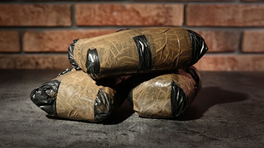 Operativo antidrogas en Estación Central resulta en incautación histórica