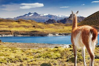 Medidas para impulsar el turismo: apoyo financiero, reactivación interna y seguridad sanitaria