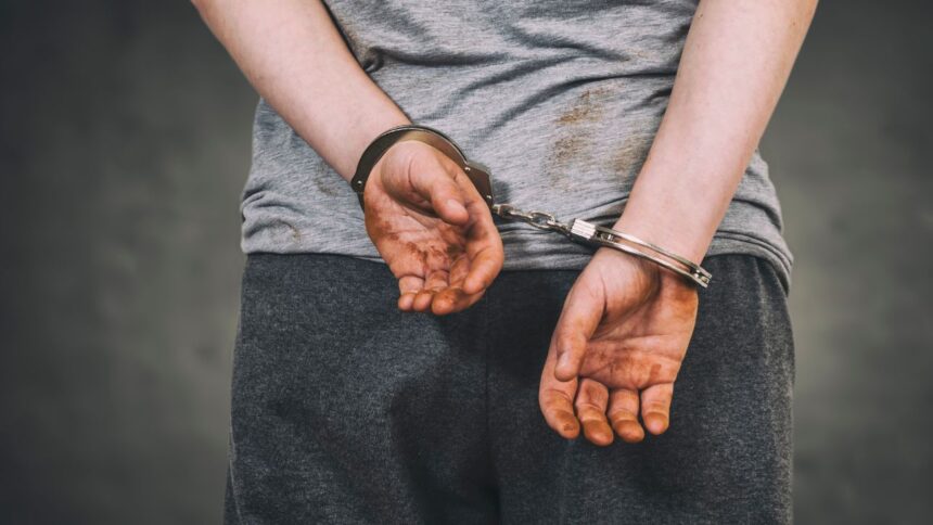 Detenidos en Los Ángeles por secuestro y violación: dos hombres arrestados por la PDI en 2021