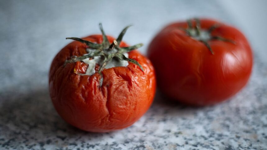 Siete días sin luz: Habitantes de Pudahuel sufren graves consecuencias
