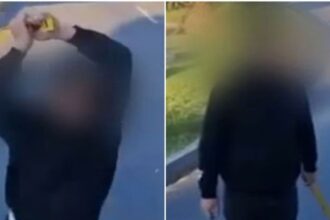 Conductor ataca a fierrazos a microbús en Viña del Mar: indignación por agresión al transporte público