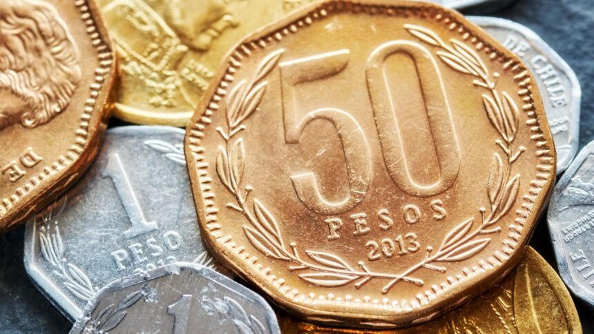 Cómo utilizar el Seguro de Cesantía en caso de desempleo