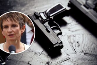 Ministra Tohá informa sobre incautación de auto con armas en Santiago