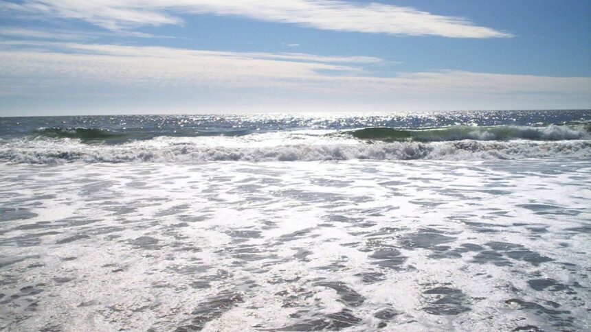 Desesperada búsqueda de niña desaparecida en Viña del Mar conmueve a Chile