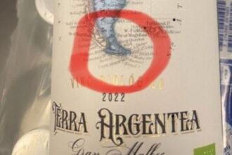 Polémica por etiqueta de vino argentino que incluye la Patagonia chilena