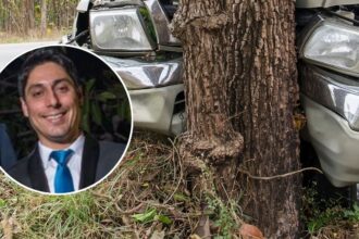 Muere profesor del Liceo Bicentenario en choque provocado por conductor ebrio