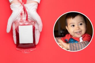 La búsqueda de un gemelo genético para curar a Dante