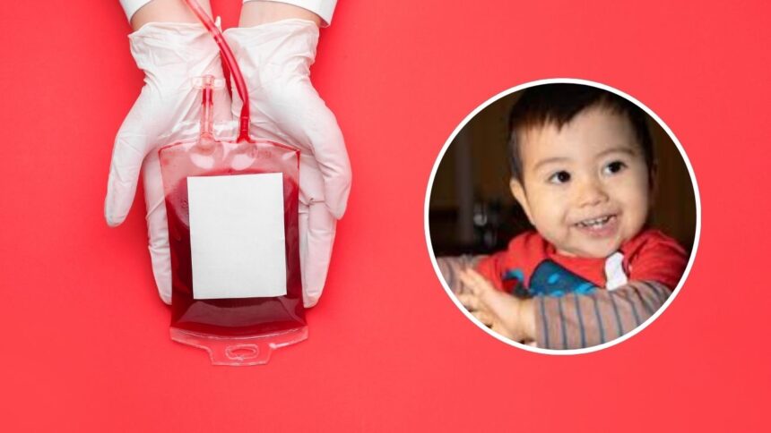 La búsqueda de un gemelo genético para curar a Dante