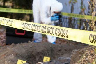 Hallazgo de un cuerpo sin vida en predio agrícola de Talagante Carabineros investiga