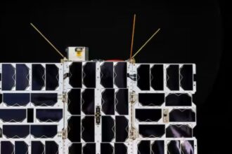 Lemu, startup chilena, lanza satélite para observar biodiversidad desde el espacio