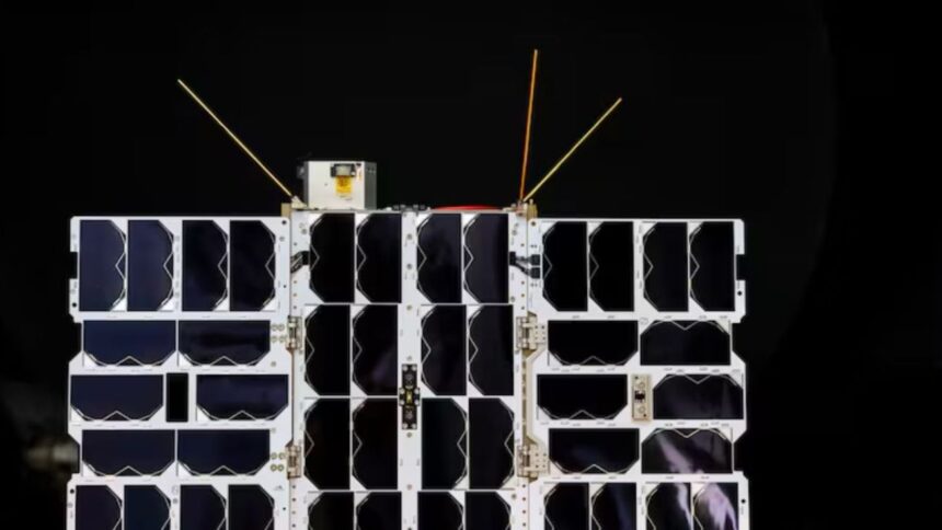 Lemu, startup chilena, lanza satélite para observar biodiversidad desde el espacio