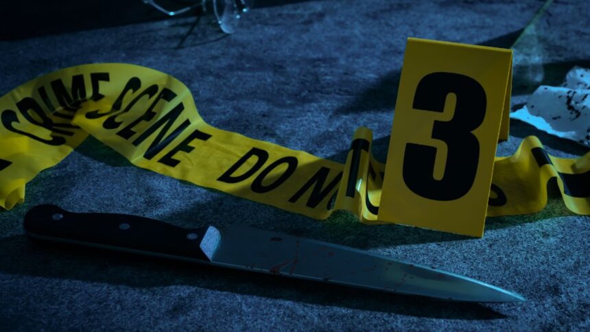 No hemos logrado disminuir la tasa de homicidios en la Región Metropolitana