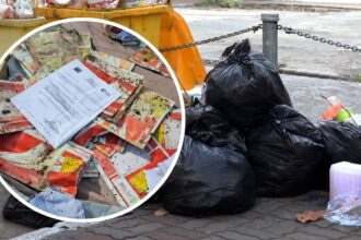 Encuentran cartas certificadas en basural de Talca: Investigación en curso