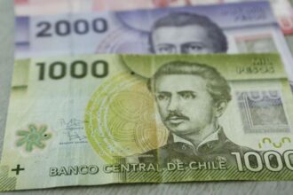 Beneficios para cesantes: asegura tu estabilidad económica sin empleo