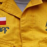 Ofertas laborales en Conaf: Postula y forma parte de su equipo