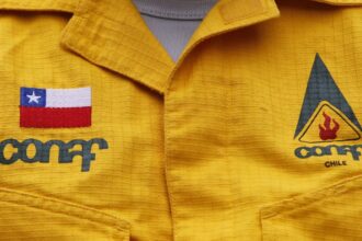 Ofertas laborales en Conaf: Postula y forma parte de su equipo