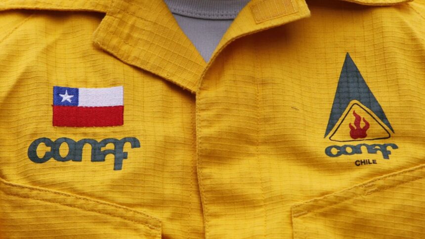 Ofertas laborales en Conaf: Postula y forma parte de su equipo