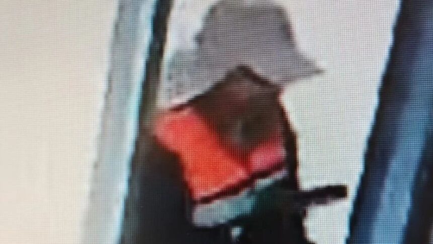 Ingeniero agrónomo chileno en prisión preventiva por robos y disfraz de minero