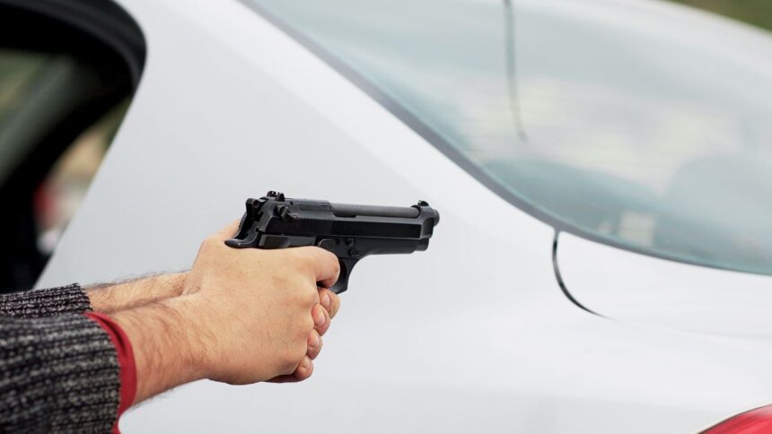 Familia logra frustrar robo con violencia en Ñuñoa: asalto captado en video