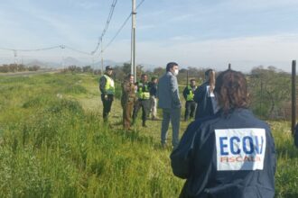 Descubren osamentas humanas en avanzado estado de descomposición en Colina: Investigación en curso